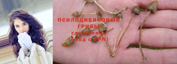 герыч Бородино