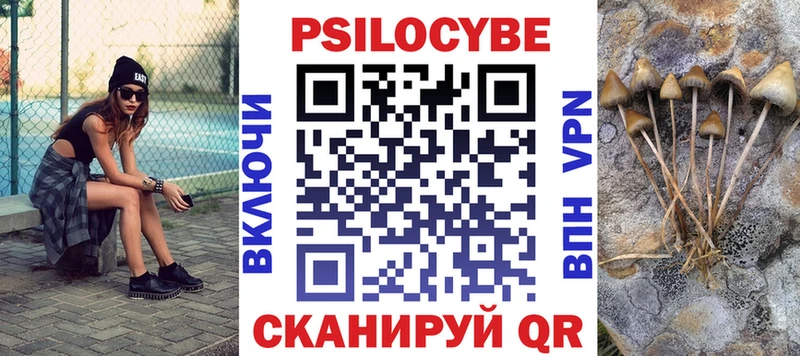 мега ТОР  Кирс  Галлюциногенные грибы Psilocybe 