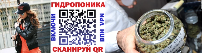 даркнет сайт  сайты даркнета клад  Бошки марихуана MAZAR  Кирс 